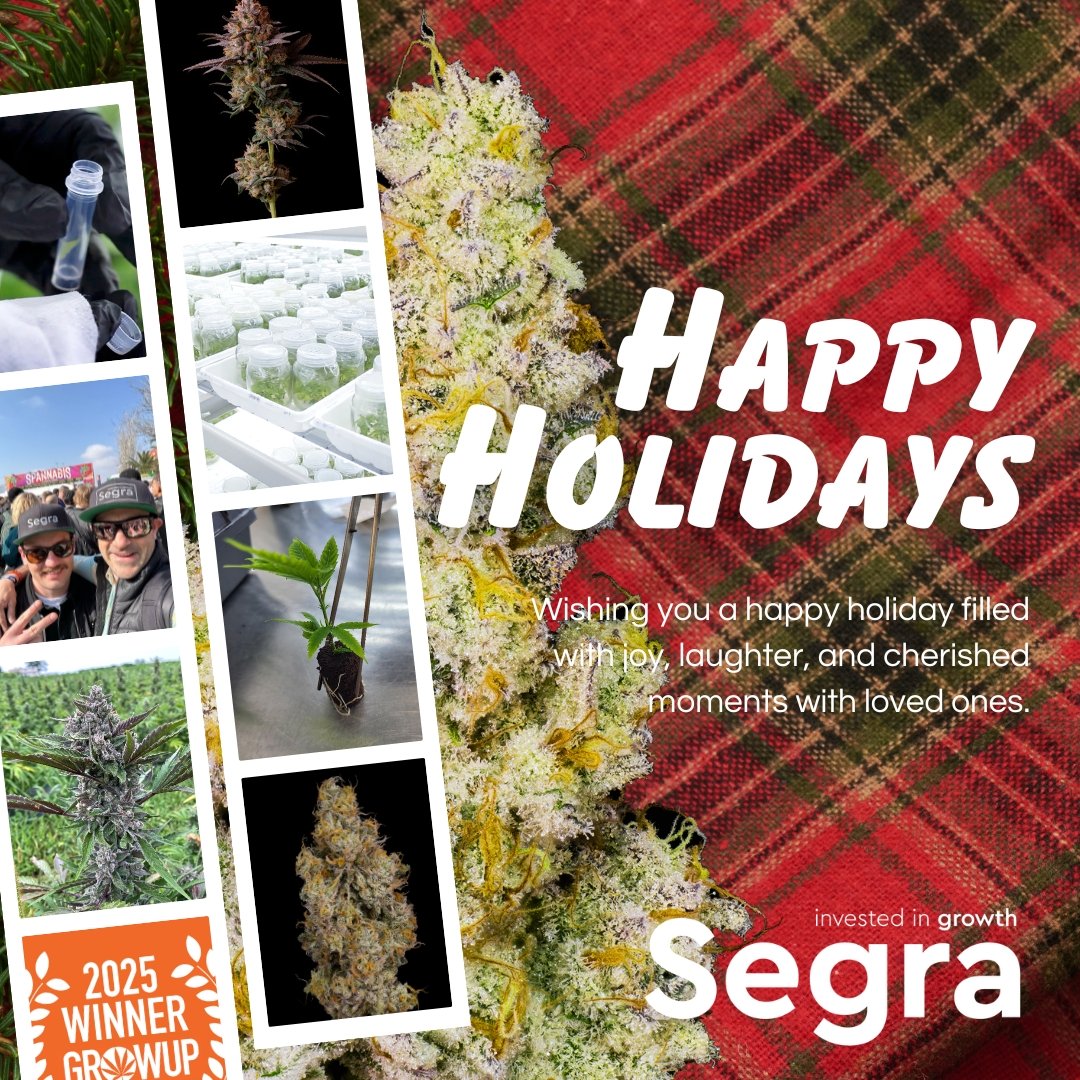 From everyone at Segra, Happy Holidays. Wishing you a successful and prosperous year ahead.
