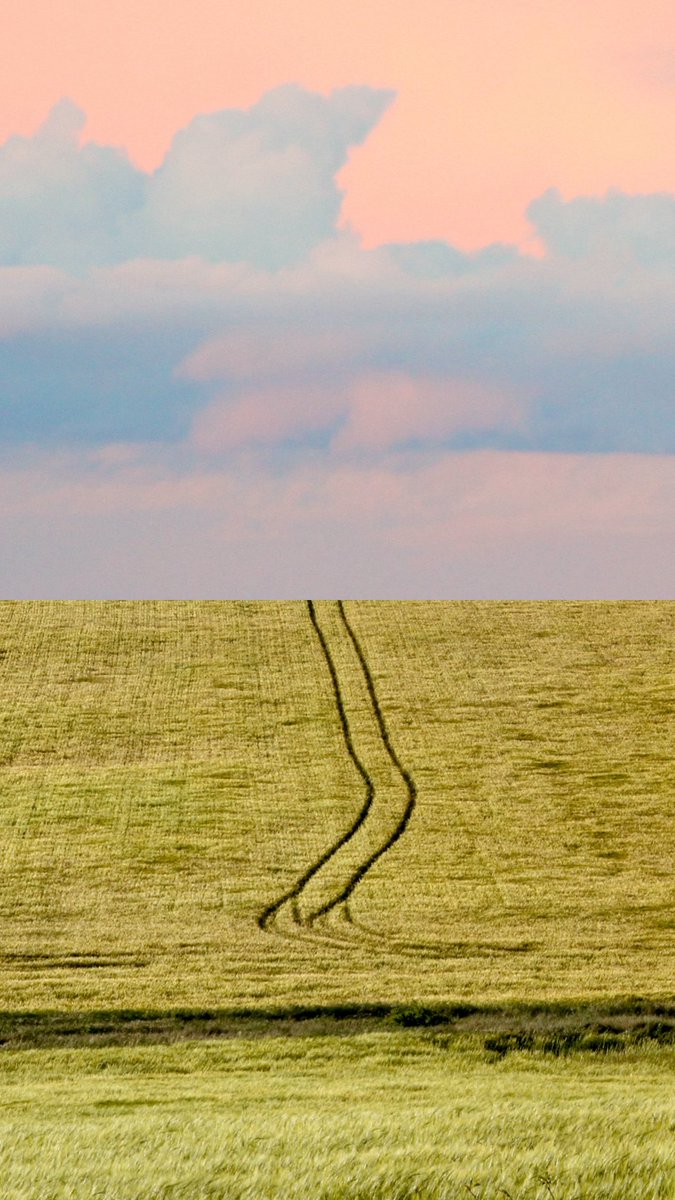 Que sean días felices para aquellos que los celebran y un abrazo enorme a todos los que estos días les pesan un poquito más de la cuenta ❤️