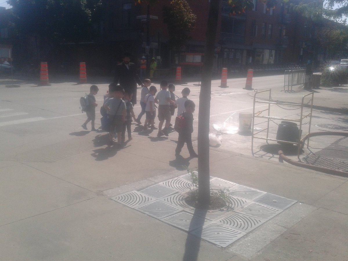 RavenFlight8's tweet image. facebook.com/share/r/1E5en2… 

==  MY HOOD!