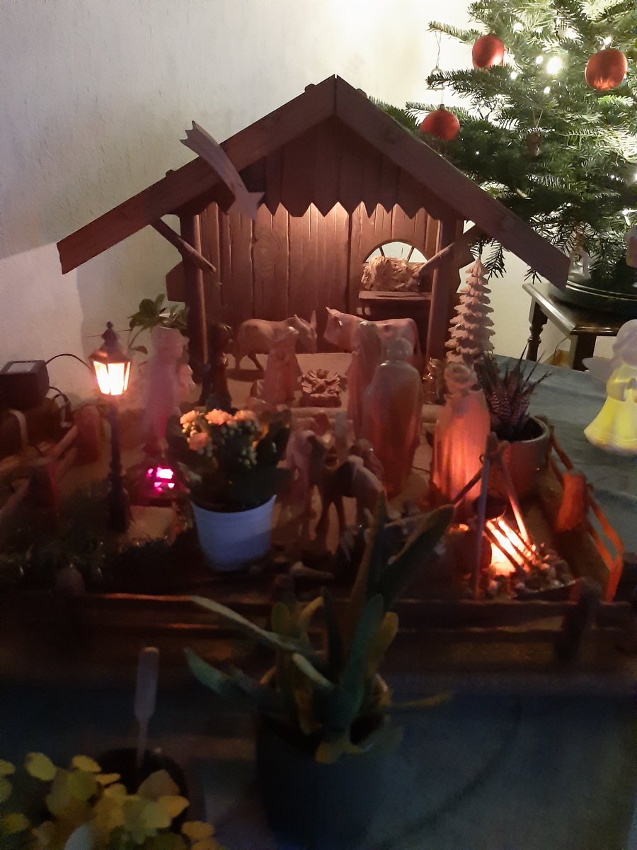 Wünsche Euch ein frohes Weihnachtsfest!🌲