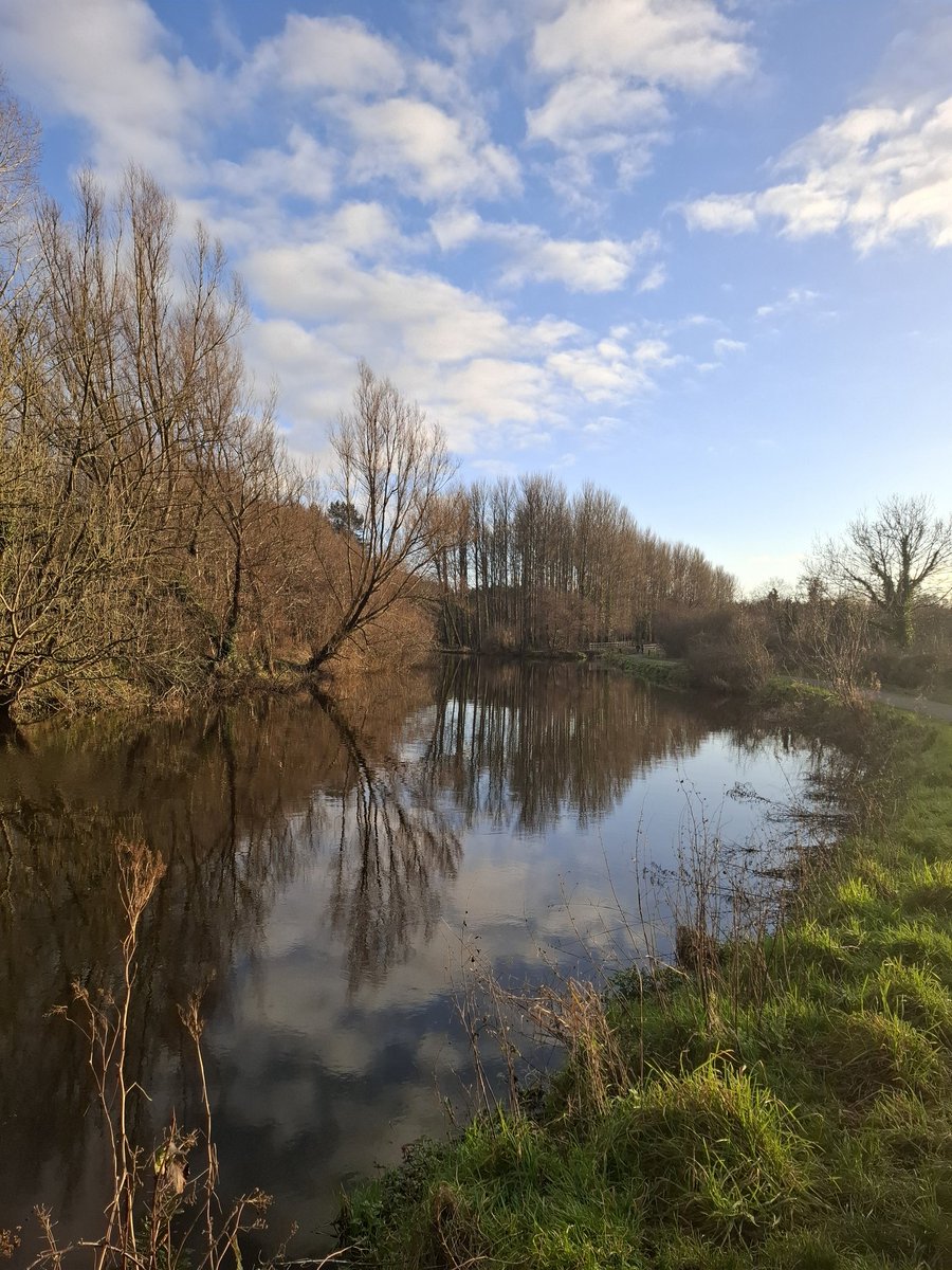 Lovely festive Christmas Eve walk along the Lagan today. Merry Christmas 🎅😎 #MerryChristmas #ChristmasEve #Christmas2025 #Christmas