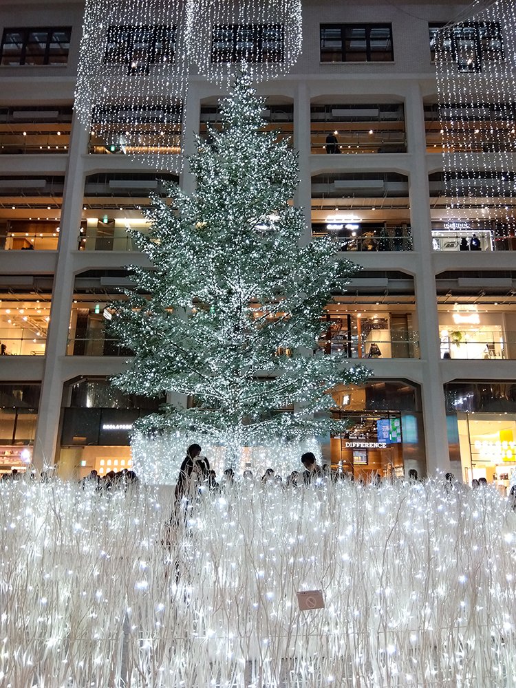 fcfd7's tweet image. KITTEの🎄も綺麗だった…日本橋で皆何か下覗き込んでるから見てみたら舟サンタ🎅