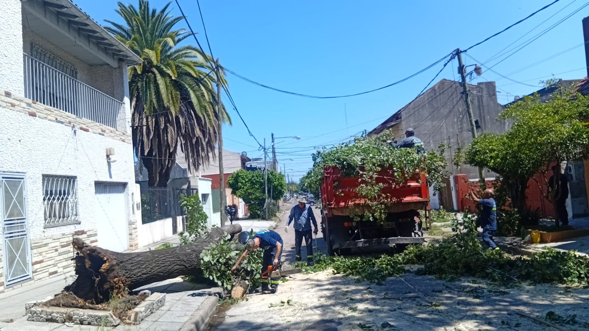 ❗️ Nuestros equipos siguen trabajando tras el temporal

Luego de la fuerte e imprevista tormenta registrada ayer por la tarde, reforzamos el personal abocado a la resolución de los daños generados en distintos barrios, asistiendo a las vecinas y los vecinos afectados.