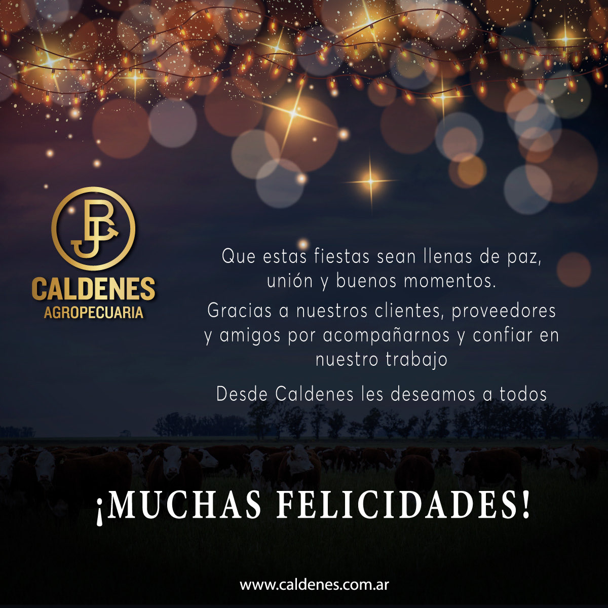 ✨ Desde Caldenes les deseamos que todos pasen una muy feliz noche buena y una mejor navidad ✨

✨Nuestros mejores deseos para todos✨

ℳ𝓊𝒸𝒽𝒶𝓈 𝒻𝑒𝓁𝒾𝒸𝒾𝒹𝒶𝒹𝑒𝓈!