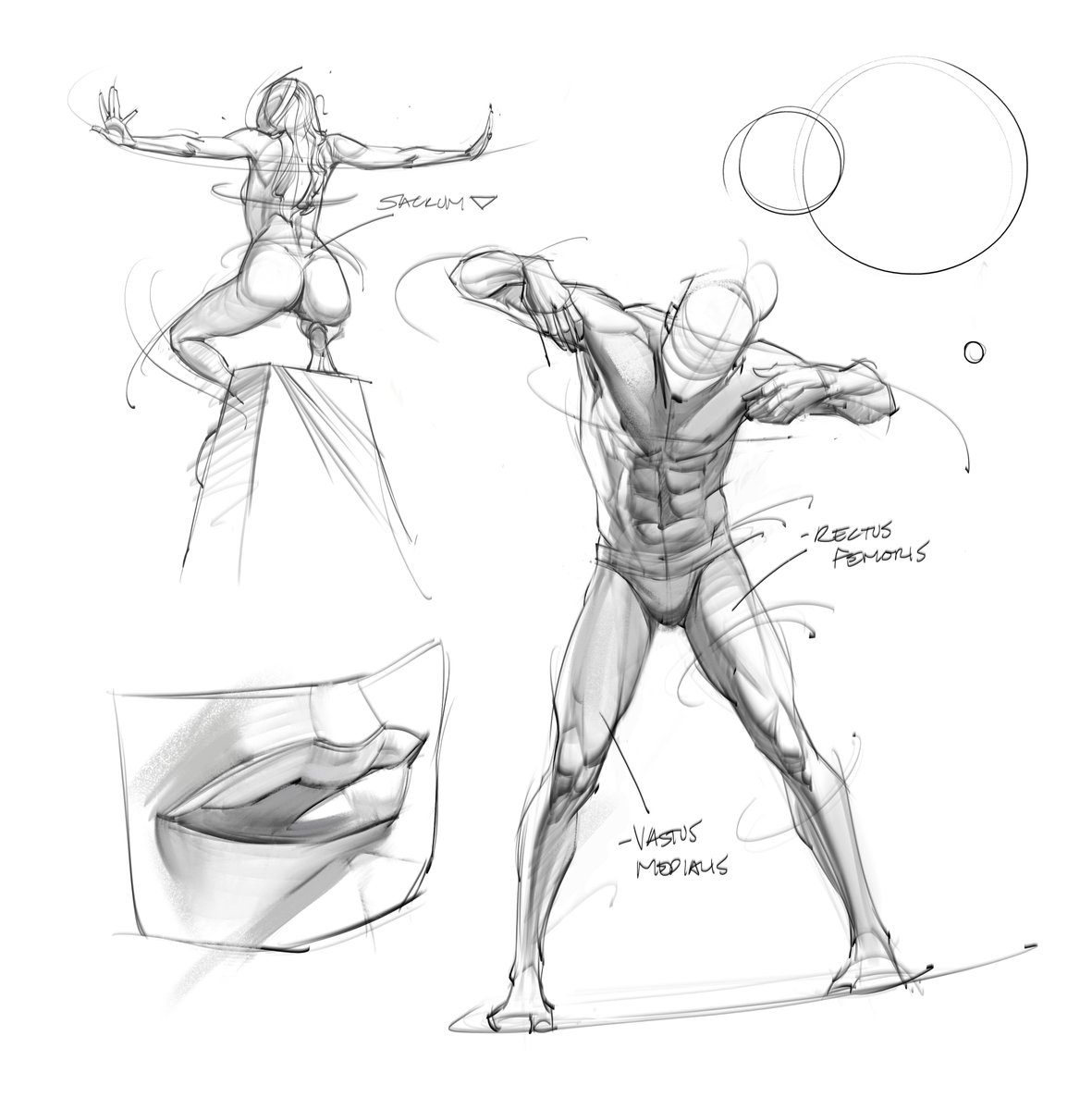 saqomolo's tweet photo. Figure drawings! #figuredrawings #gesturedrawings #goals #gottogetbetter #doodles #sketches #drawing #humananatomy #anatomy #shading #maletorso https://t.co/lklZ1dxHuT