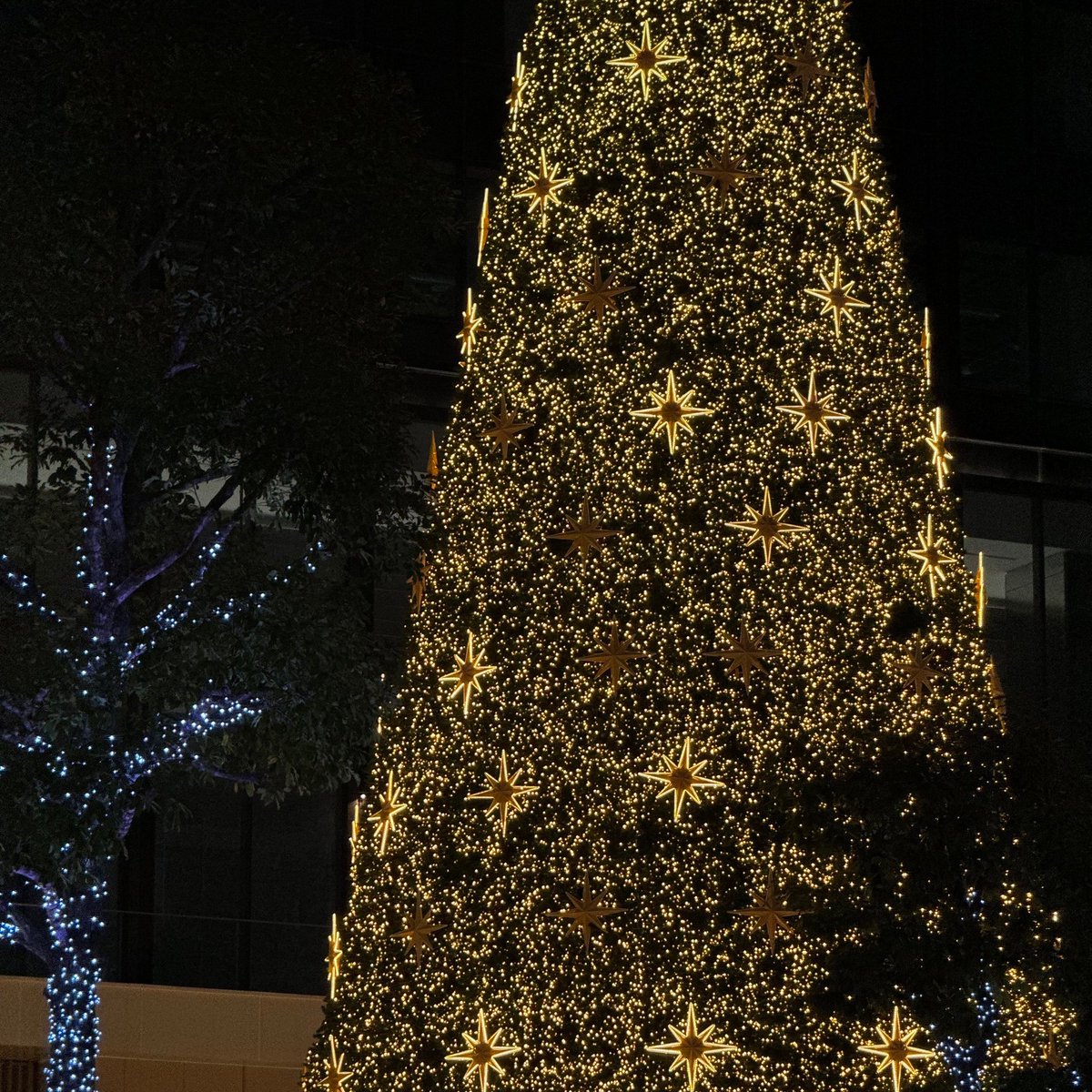 lostyouinmay's tweet image. 🎄🚂🎅🏻 สวัสดีวันคริสต์มาส, ขอให้เป็นช่วงเวลาที่มีแต่รอยยิ้ม หัวใจอบอุ่น เติมเต็มไปด้วยความรัก เป็นสิ้นปีที่ความสุขตลอดทั้งเทศกาลเลยนะ :—)