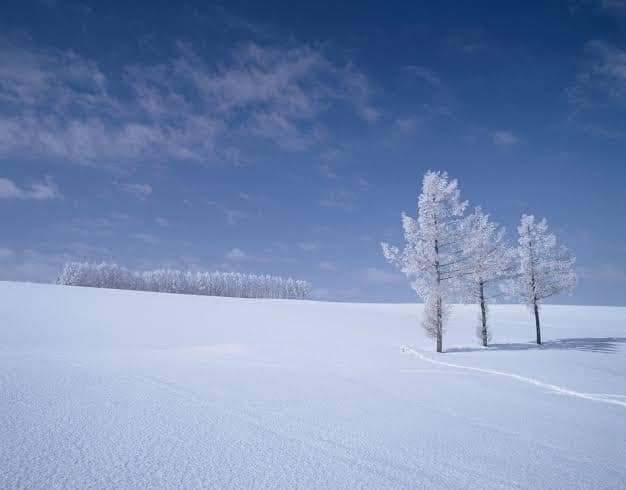 Yukie_Kudo's tweet photo. #Guardian #TodayInFocus #HelenPitt and Entire Team of @guardian @guardiannews , @safimichael with my envy for your journalistic environment , a kind of such not obtainable in Japan & probably many parts of the World !
W my #SeasonsGreeting !! Let us hope for the " Justice, Truth and Righteousness " to prevail in Year 2026 and beyond !
From #YukiéKudo = #工藤雪枝( my prénom #雪枝 means " Snow " "Branch Of Trees " ( ⬅️ perfect name for Tackling With #ClimateCrises )