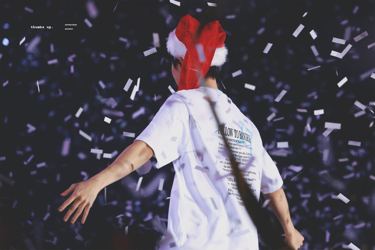 사랑으로 가득 채워진 나의 트리. 다 읽고 나니까 다시 한번 고맙다고 말하고 싶어.
예전 인터뷰에서 정한이가 원우의 변화를 보고 캐럿들 사랑 덕분에 원우라는 꽃이 예쁘게 피어났다 고 했잖아 그 표현이 참 좋더라. 
사랑을 먹고 자란 꽃은 갈수록 더 선명해지는 것 같아
따뜻한 크리스마스 보내!