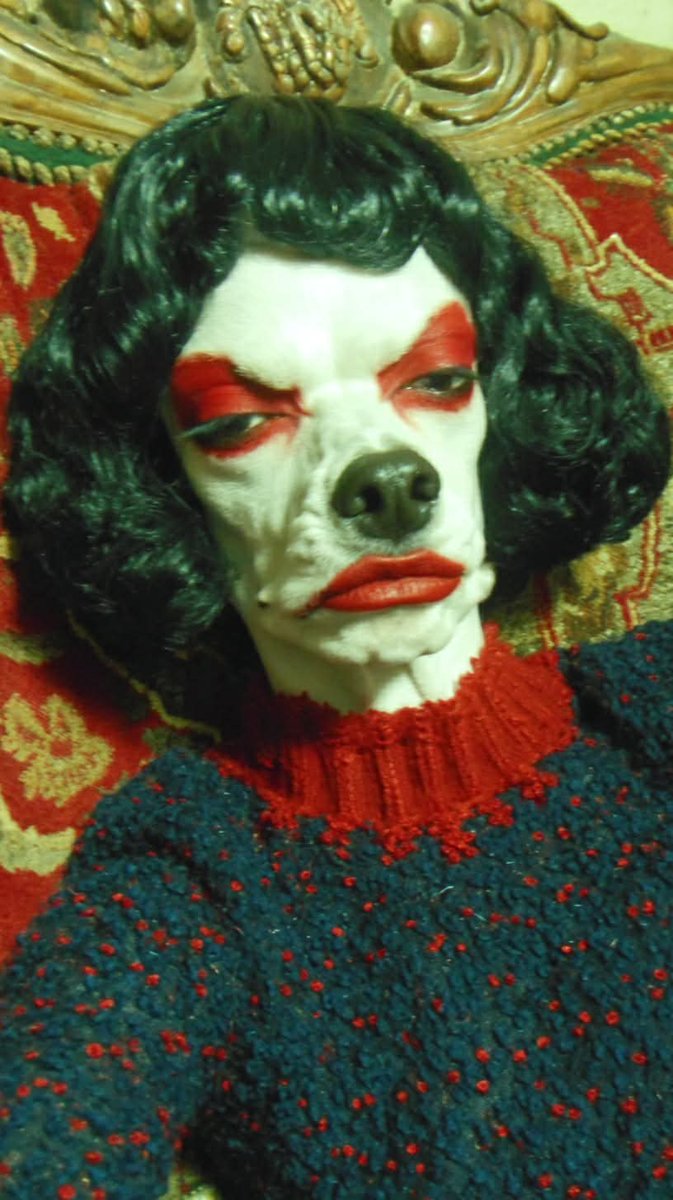 Christian Luoma (@christian_luoma) on Twitter photo 