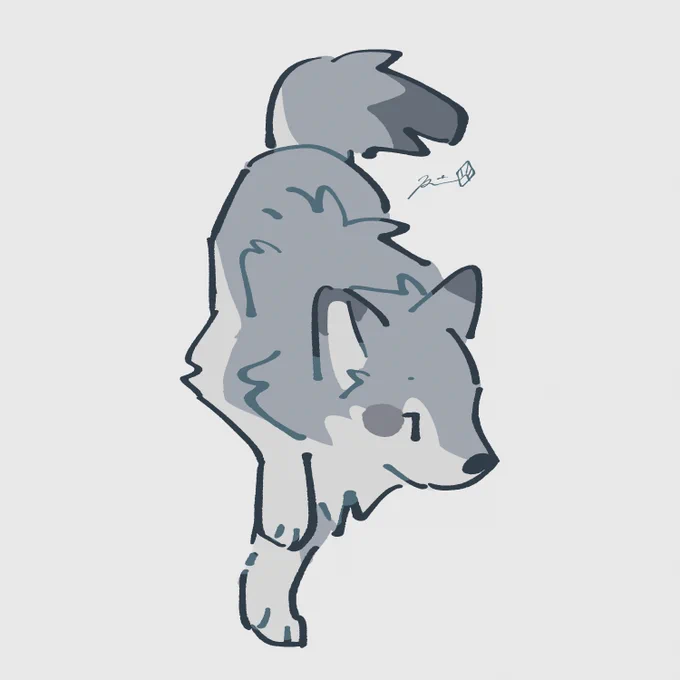 264 #wolfarium