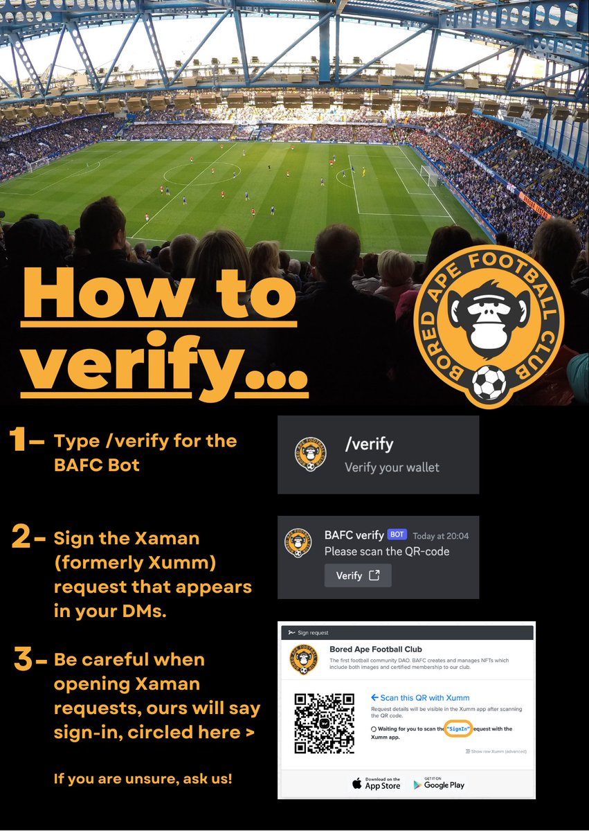 Bored Ape Football Club tweet media