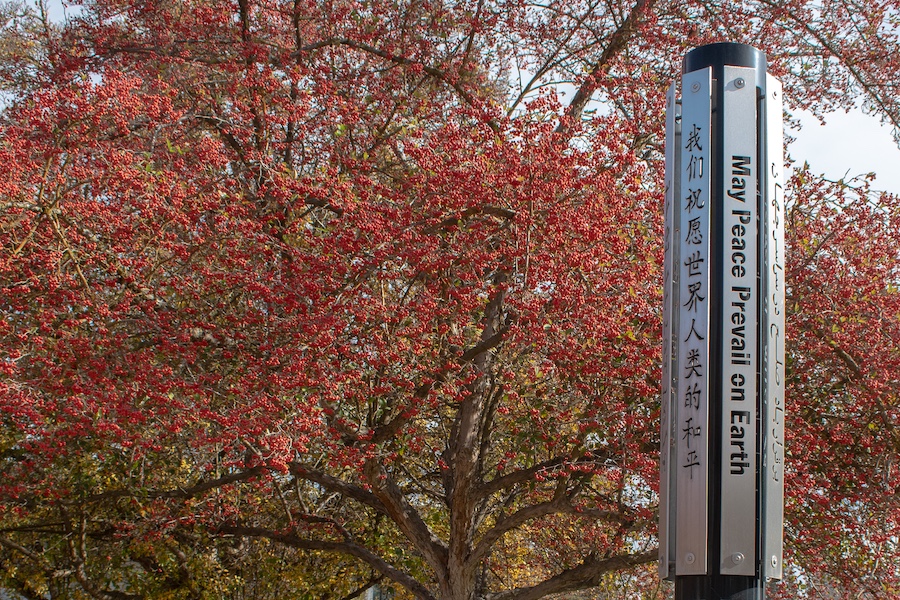 stan_state's tweet image. ’Tis the season to celebrate our amazing #WarriorFamily! Wherever the holidays take you, we wish you a bright holiday season and a prosperous new year ahead! 🎄❤️💛

Campus will be closed Dec. 24 - Jan 1. Campus will reopen on Friday, Jan. 2.