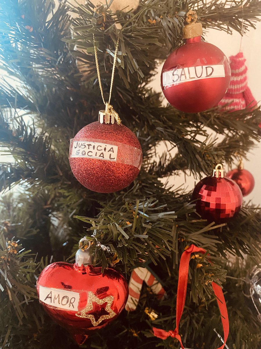 Que a pesar del contexto actual de tanta afrenta gubernamental a los derechos mas esenciales que garantizan la dignidad de vida , consolidemos el “nosotros colectivo” como resistencia amorosa y potente para defender sobre todo los derechos de nuestrxas niñeces

Feliz navidad🎄