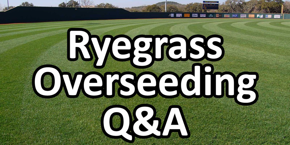 TMC Sports Turf tweet media