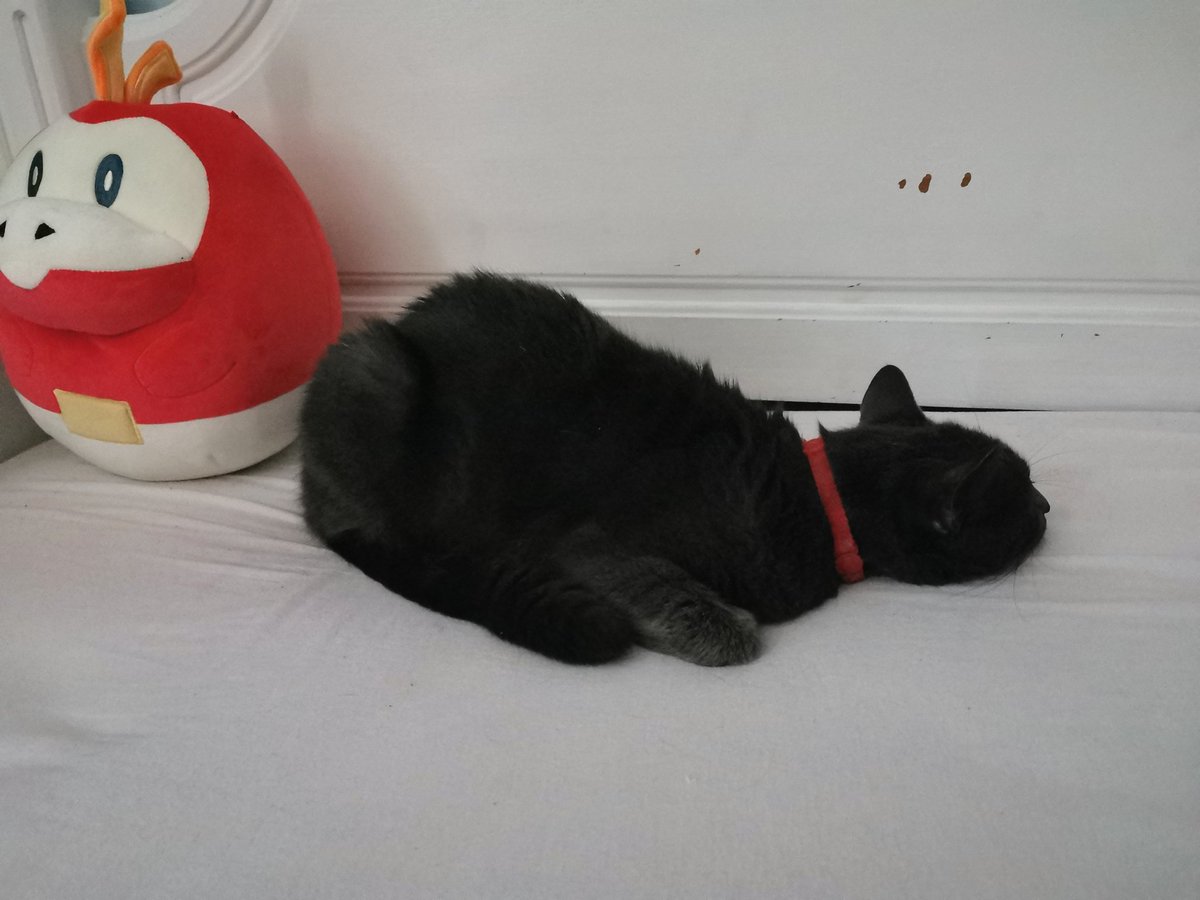 Jenna 🐼✨ tweet media