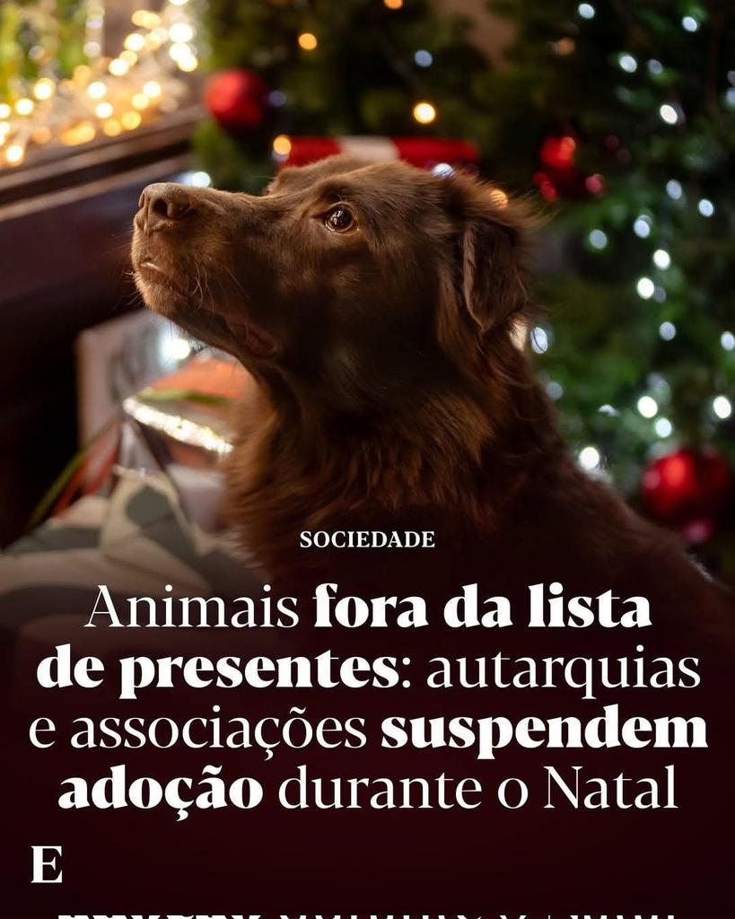 Prince 🇪🇺🇺🇦 (@prince_x007) on Twitter photo 