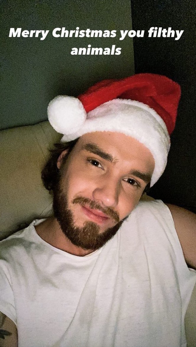 updatingljp's tweet photo. Happy holidays, or as Liam would say, Merry Christmas you filthy animals 🎄🎅🏼 https://t.co/Zxxt4Pdt0f