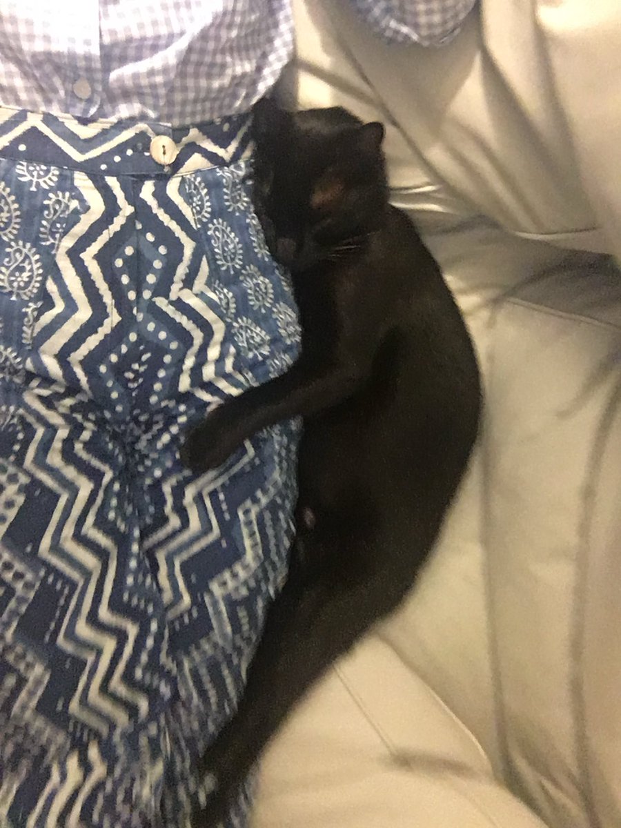 Acompaño con mi alma a todos los que este año perdieron algo muy amado.