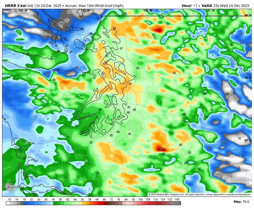 RandySmall's tweet image. Windstorm update below. More info on my WCW FB page in the comments of this post: facebook.com/share/p/1C8bsd…
#wawx #whatcomcounty #windstorm