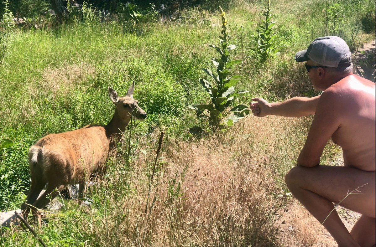 RMNaturist's tweet photo. Nudity connects us more deeply with nature and reminds us that we are a part of it.   ~Doria Gani

#Naturism
#AtOneWithNature
#NudityIsNatural 
#AsOurCreatorIntended https://t.co/kv8bVtl2HB
