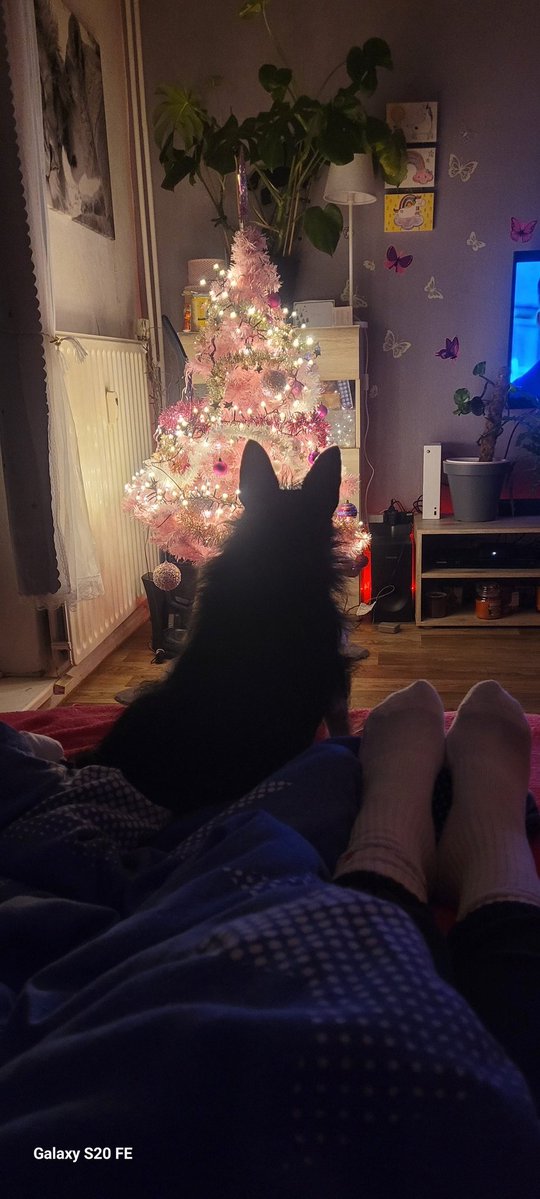 Frohe Weihnachten 🎊🍹🎉