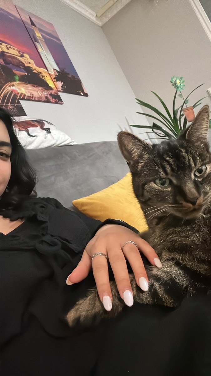 cheynooo's tweet image. Du warst das einzige worauf ich mich gefreut habe, wenn ich nachhause gekommen bin.. rip Ferdi 2020-2025 😞