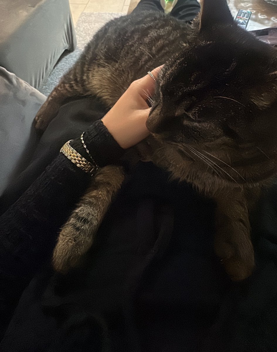 cheynooo's tweet image. Du warst das einzige worauf ich mich gefreut habe, wenn ich nachhause gekommen bin.. rip Ferdi 2020-2025 😞