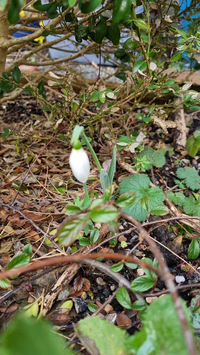 Moira Benson 🚙 tweet media