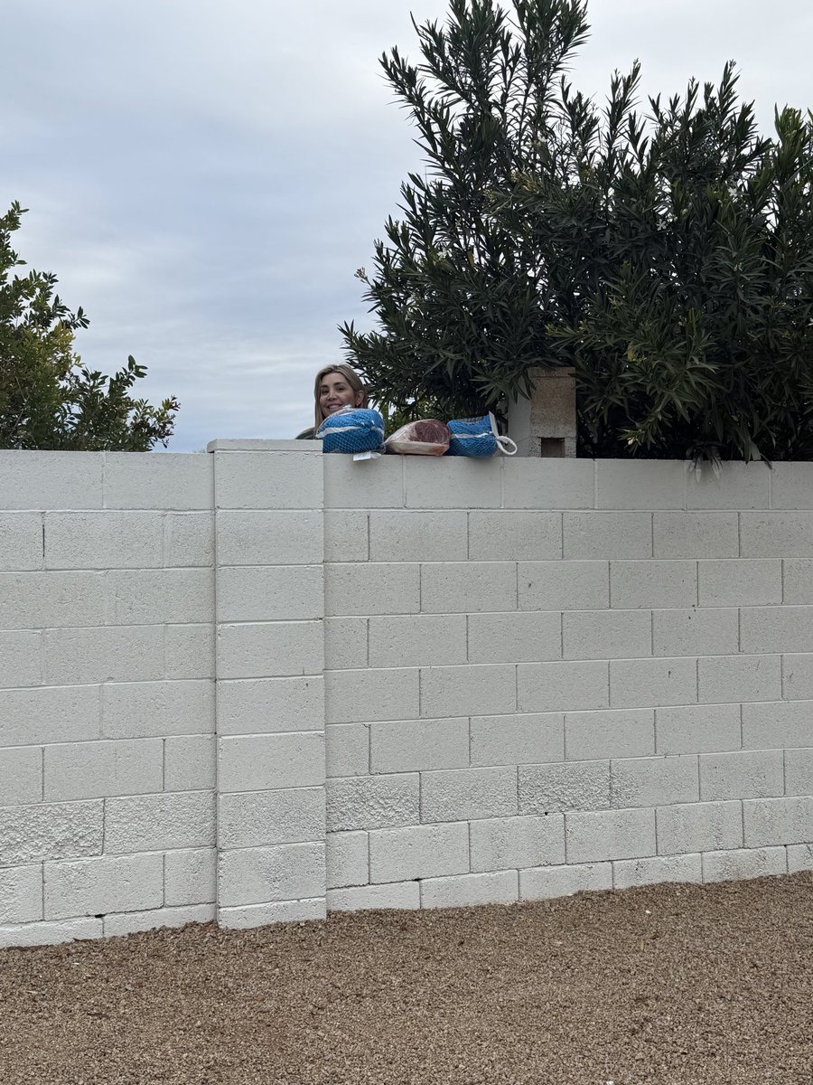 Coach Dillingham tweet media