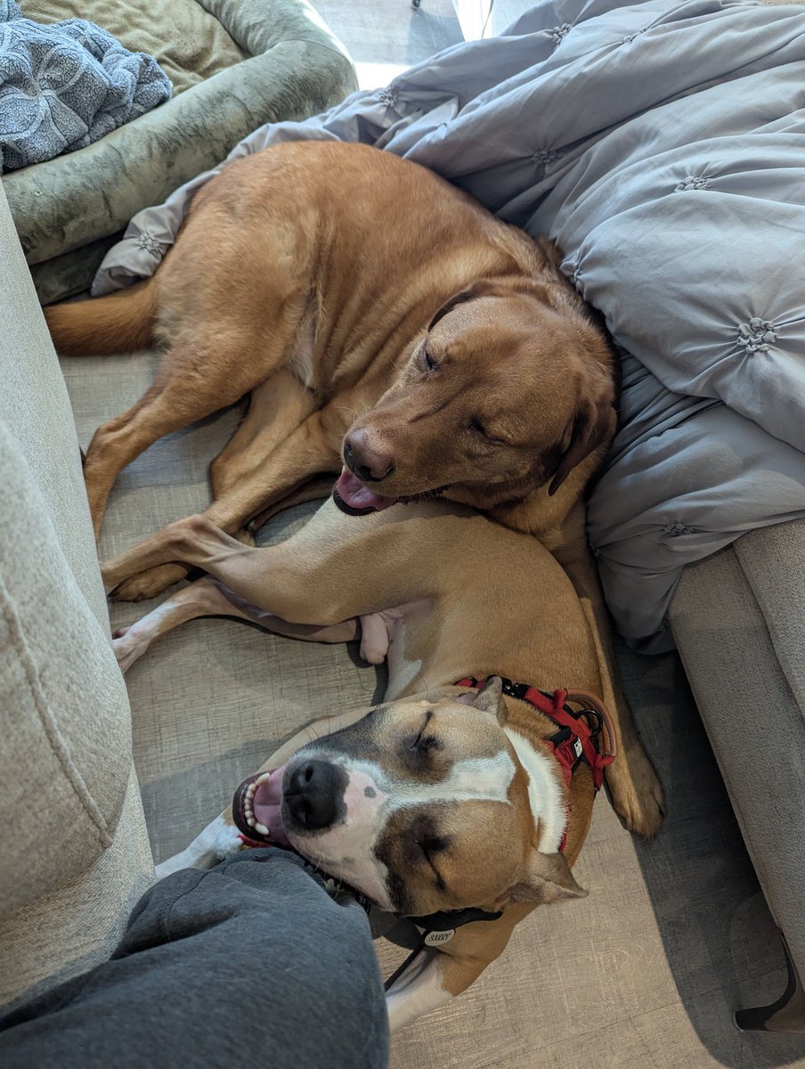 Happy Holidays from Barry and Murphy