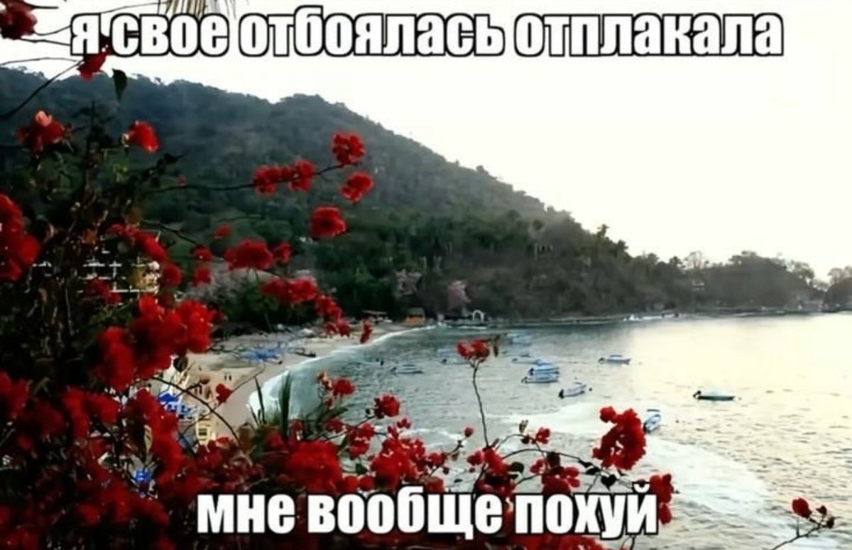Артём Трещенко tweet media