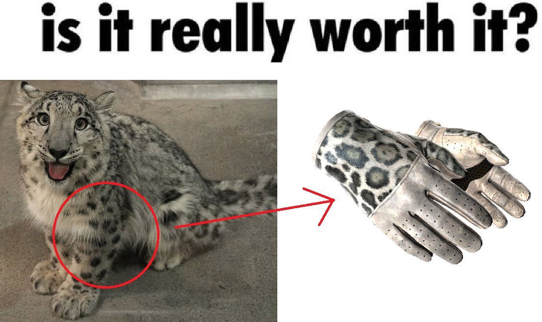 ryuo (@ryuoryuoo) on Twitter photo 