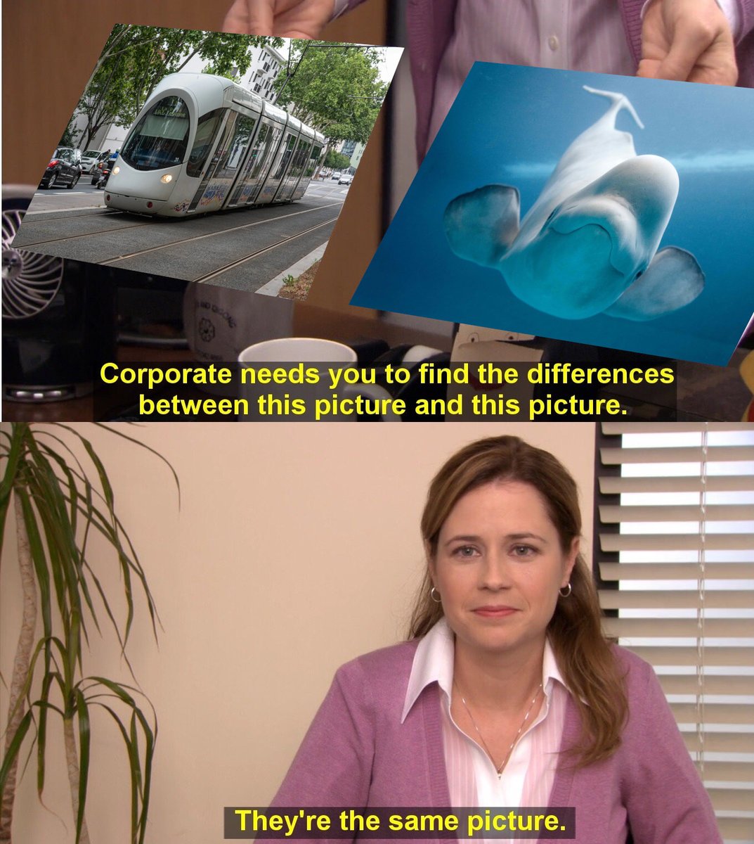 Aquaxoc tweet media