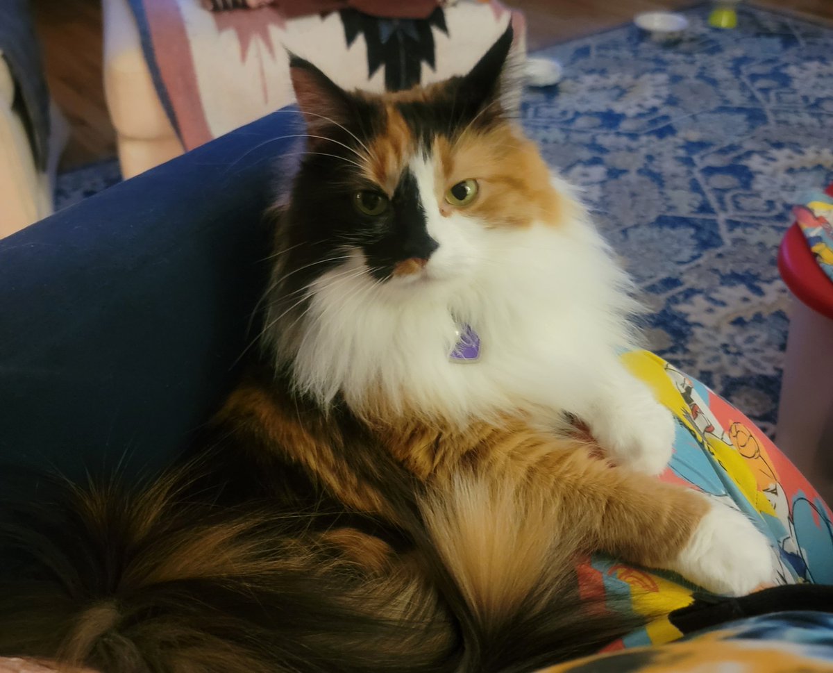 Koi: havimg a nice sits on mama ❤️