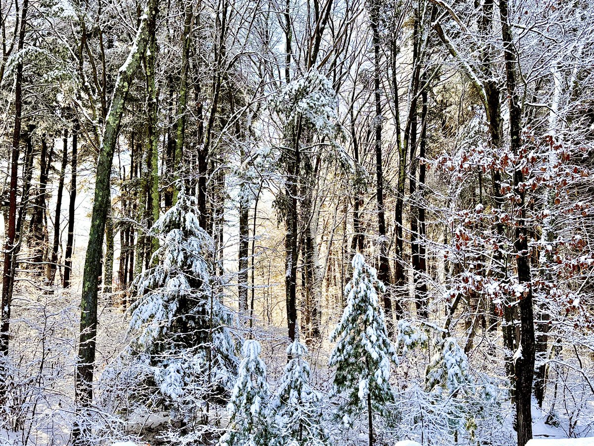 Merry Christmas to all my X buddies out there! Looks like we will be having a White Christmas here. You know, all that white privilege and everything.