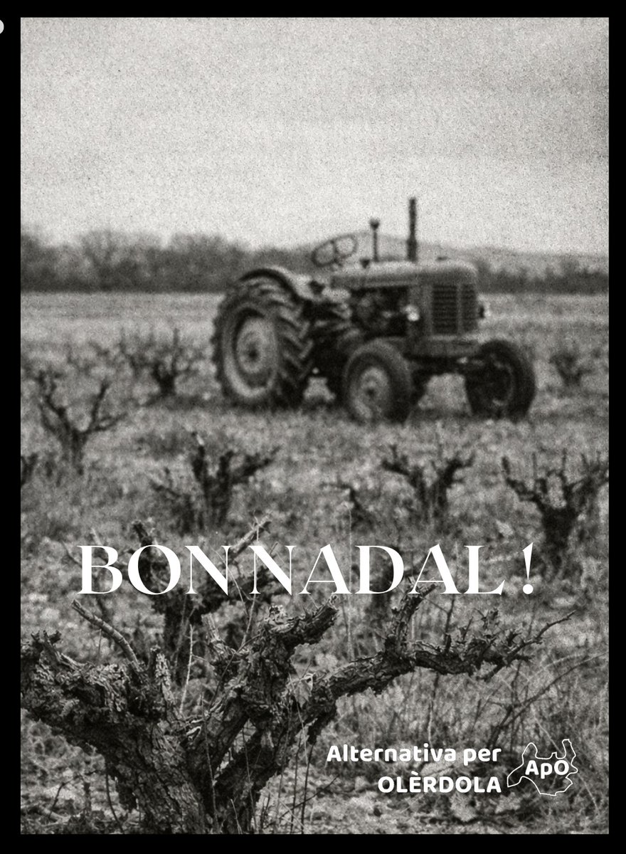 Aprofitem aquests dies per aparcar les cabòries i gaudim de les estones amb les persones que estimem. I cuidem-les i deixem-nos cuidar. 
BON NADAL!