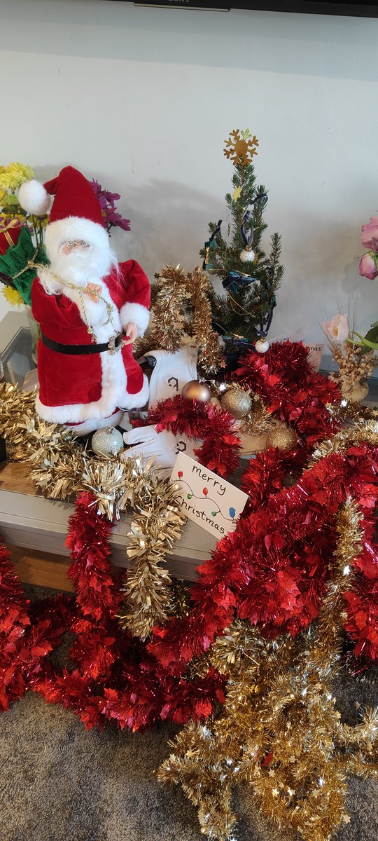 Setting the festive tone 🎄🐝

This is the kind of Christmas chaos we’re looking for.

👉 Full giveaway details in our pinned Facebook post
🗓 Closes 31 Dec 2025

#Beekeeping #ChristmasGiveaway #SmallBusinessUK