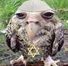 Left's tweet image. Wet Owl Supremacy