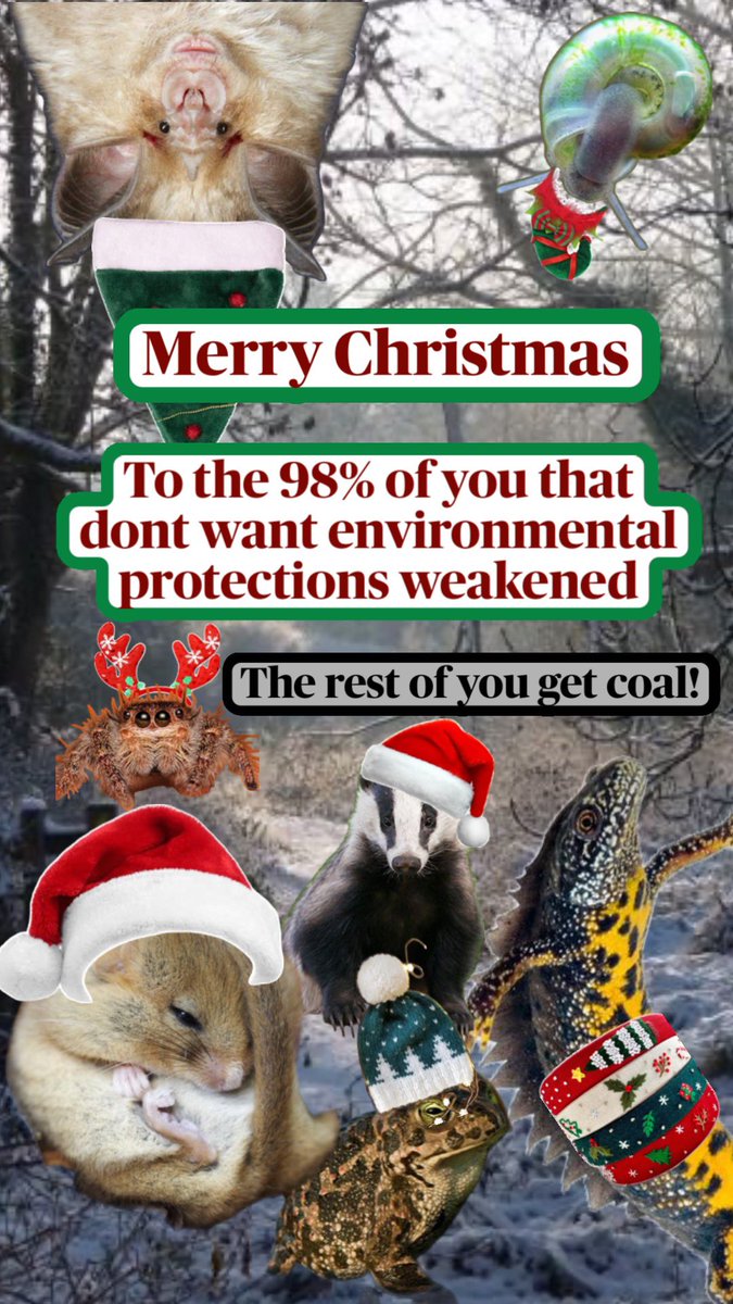 Merry Christmas to all of you who fought so hard for nature this year!  And to the grinch politicians who voted to weaken environmental protections? Expect a visit from a ghost who will show you a future without wildlife… we need your heart to grow a few sizes ASAP 💚🦎🦇