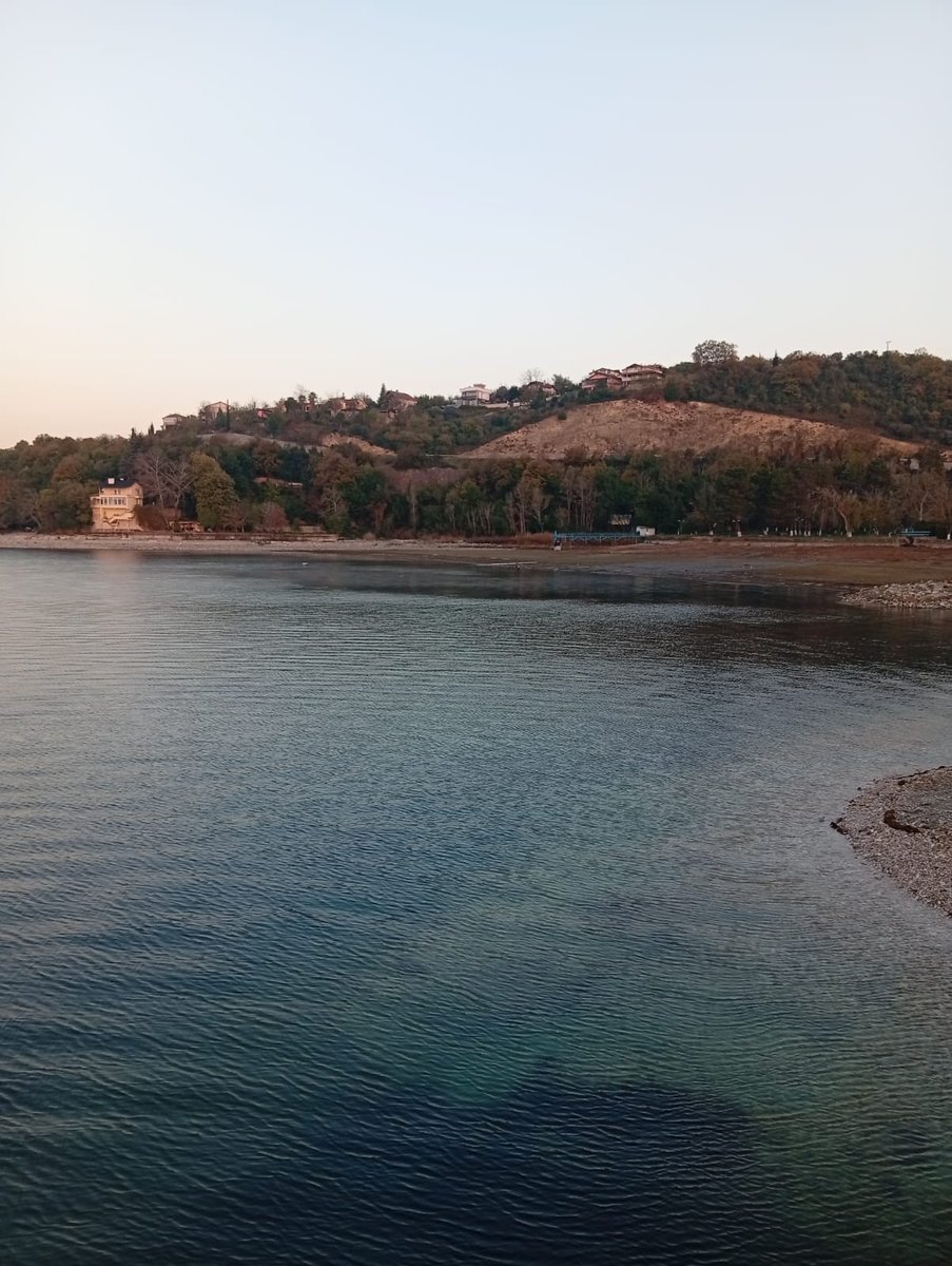 Meriç Albay tweet media