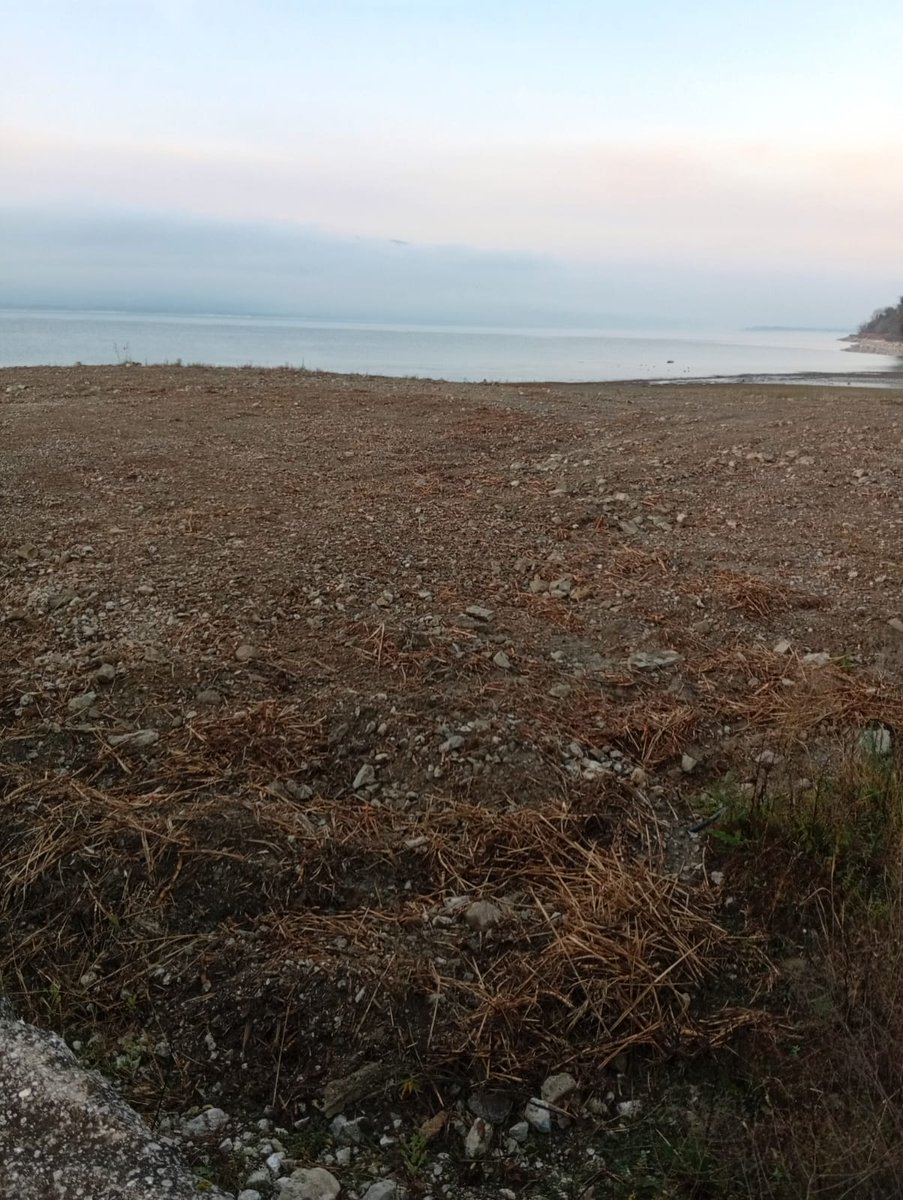 Meriç Albay tweet media