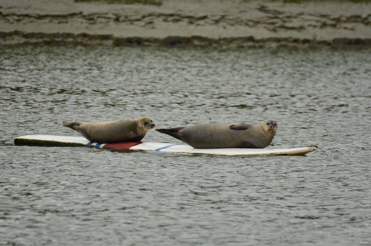 isabelle (@fibisa1) on Twitter photo 