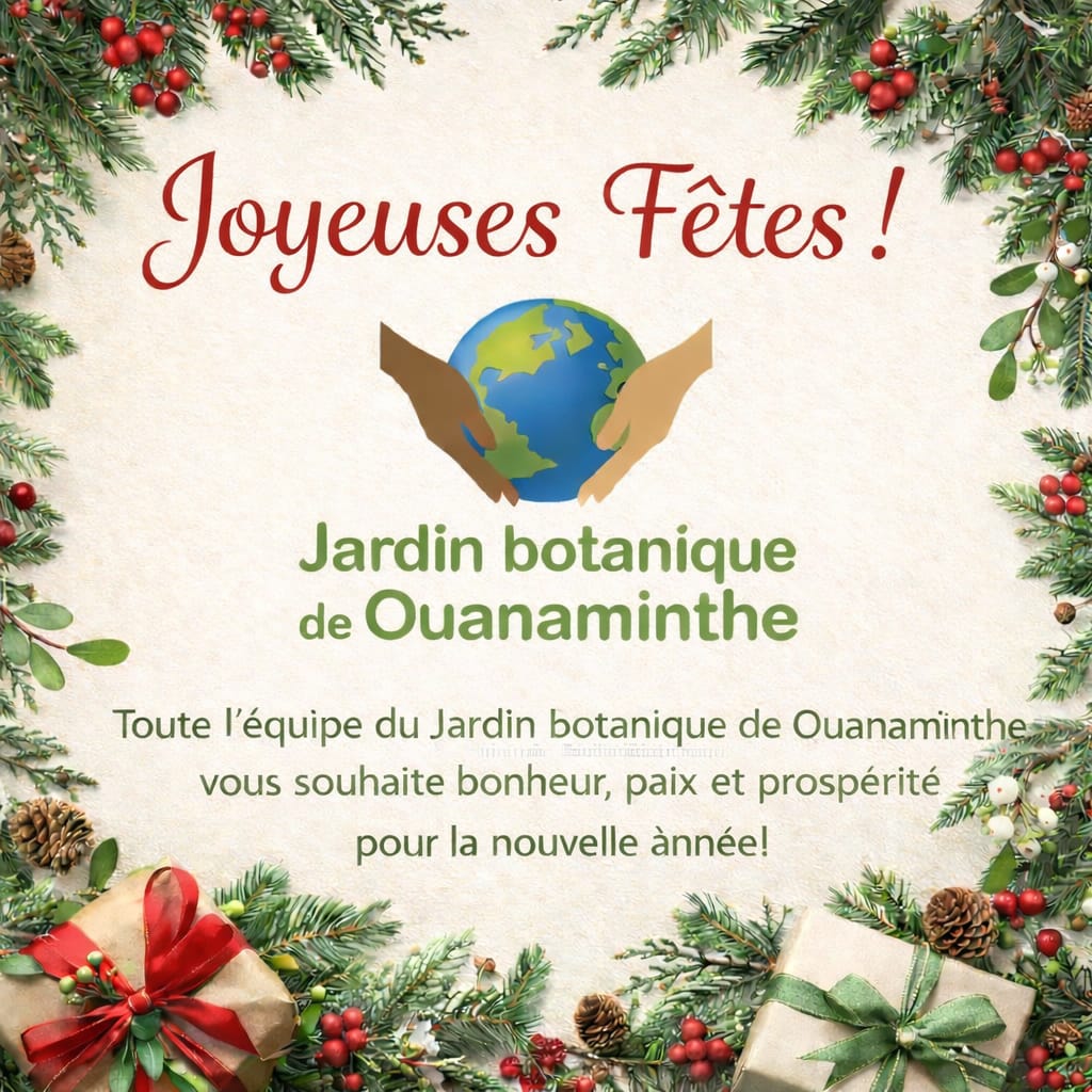 botanique_de's tweet photo. 🎄✨ Joyeux temps des fêtes ! ✨
         Le Jardin botanique de Ouanaminthe souhaite à toutes et à tous un merveilleux temps des fêtes, rempli de paix, de joie et d’harmonie avec la nature. Que cette période soit l’occasion de se rassembler et de célébrer la vie. https://t.co/i6IfseppKj