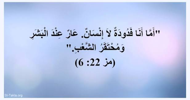 عبد العزيز tweet media