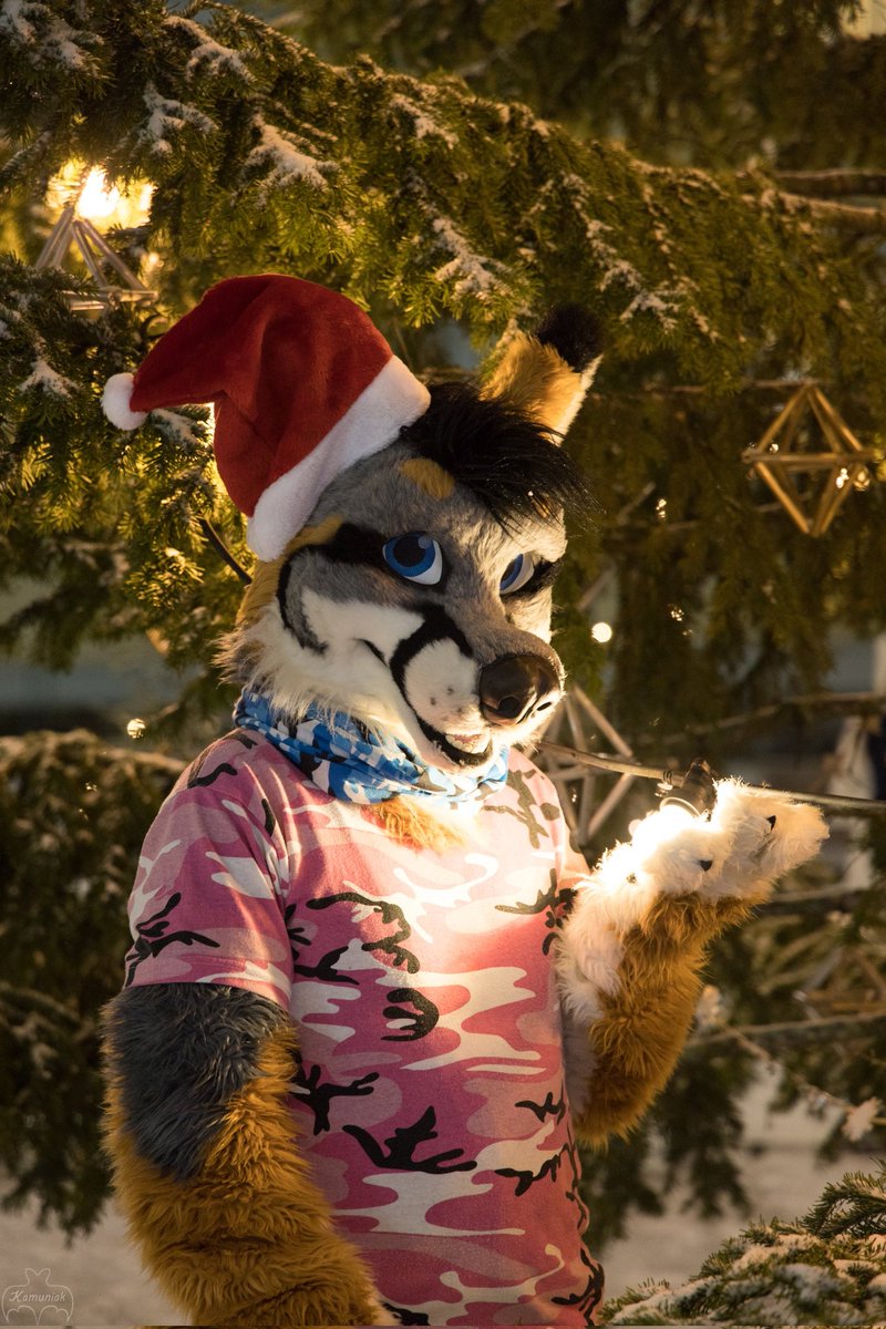 This fox wishes you all Merry Christmas / Happy Holidays !