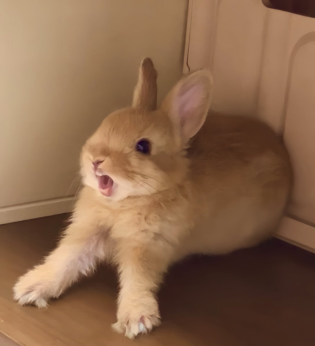 loveuand4ever (@mkk4everlove) on Twitter photo 