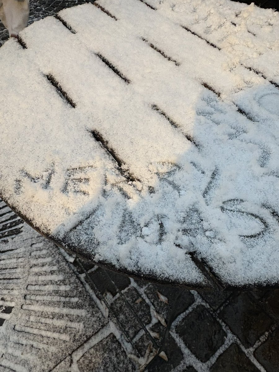 reese | 📚 working on comms tweet media