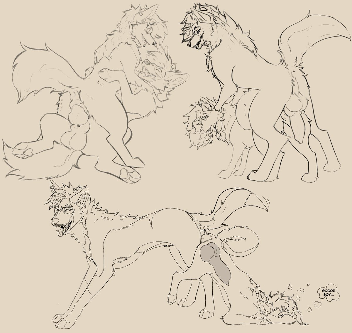 🐾🐾⤵️ tweet media