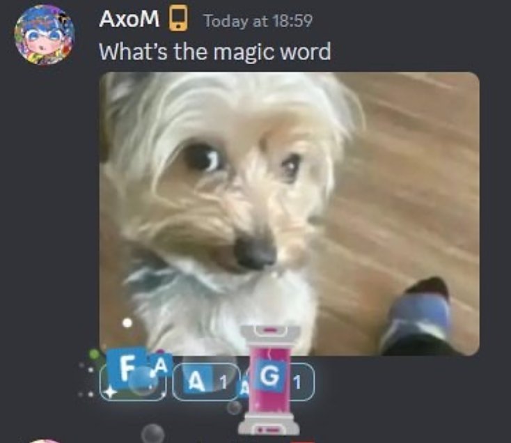 Benja Flip tweet media