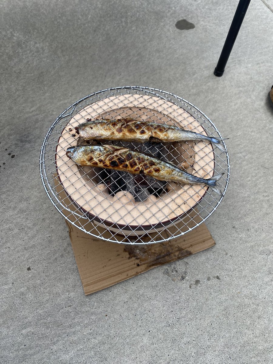 めろ様 (@_A_Z_S_) / Posts / X